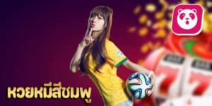 หวยหมีสีชมพูhihuaypanda